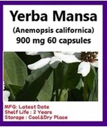 Yerba Mansa Herb  60 capsules (900 mg) - $9.85