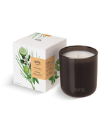 Sprig by Kohler  Aromatherapy Candle, Recharge (Bergamot &amp; Lemongrass), ... - £27.63 GBP