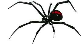 Reverse Spider Decal/Sticker for Car/Truck Windows Latrodectus Widow Black - $6.95+