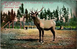 State Elks Association Elk Port Angeles Washington WA DB Postcard T14 - £3.84 GBP