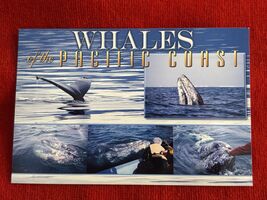Oregon Postcard Whales on the Oregon Coast New Unposted - $3.99