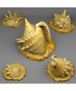 3D Printed Fantastic Plants and Rocks Giant HERMIT&#39;S CRAB SHELL 28mm - 3... - $13.76+