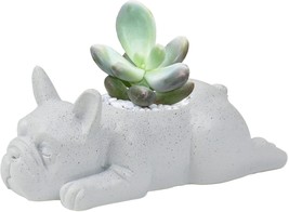 Ctpeng Small Dog Resin Plant Pot, French Bulldog Succulent Planter Pot, For - $22.93