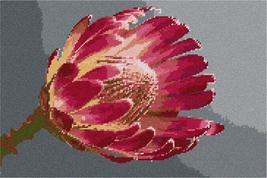 Pepita Needlepoint Canvas: Protea Flower, 14&quot; x 9&quot; - £67.17 GBP+
