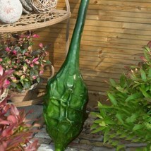 Grow Gourd Seeds Caveman&#39;S Club Dinosaur Maranka Gourd 5 Seeds Heirloom Non Gmo - $9.11