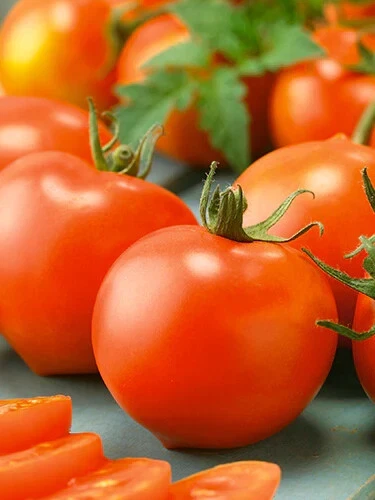 50 Seeds Earliana Tomato Juicy Tomatoe Vegetable Garden Edible Food - $5.18