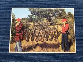 Vintage Postcard Unused Large Grasshoppers Petley Mini Print Hunting Hum... - $5.00
