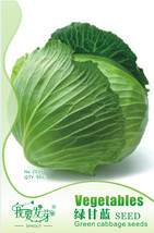 10 Packs 55 Seeds Green Cabbage Seeds #N 81 Garden USA SHIPPING - $20.58