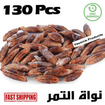 Natural Date Kernel Date Palm Tree Seed Moroccan Original Pure 130Pcs نواة التمر - £23.73 GBP