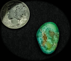 8.5 cwt. Rare Vintage Royston Turquoise Cabochon - $61.00