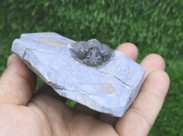 Item image 10