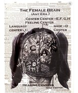 Art N Wordz The Female Brain Original Dictionary Sheet Wall/Desk Pop Art... - €21,30 EUR