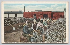 Postcard Opening Oysters Biloxi Mississippi Curt Teich Co. - £9.52 GBP