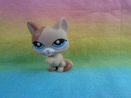 Littlest Pet Shop Brown Tan Sitting Kitty Cat Licking Paw Teal Green Eyes #1363 - £5.69 GBP