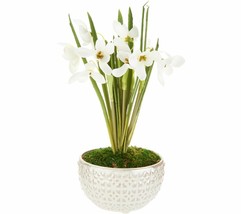Potted Snowdrops in Marbled Ceramic Pot by Peony - £42.62 GBP