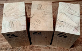 THREE SPALTED BOXELDER BOWL BLANKS LATHE TURNING BLOCKS LUMBER 5&quot; X 5&quot; X... - £31.10 GBP