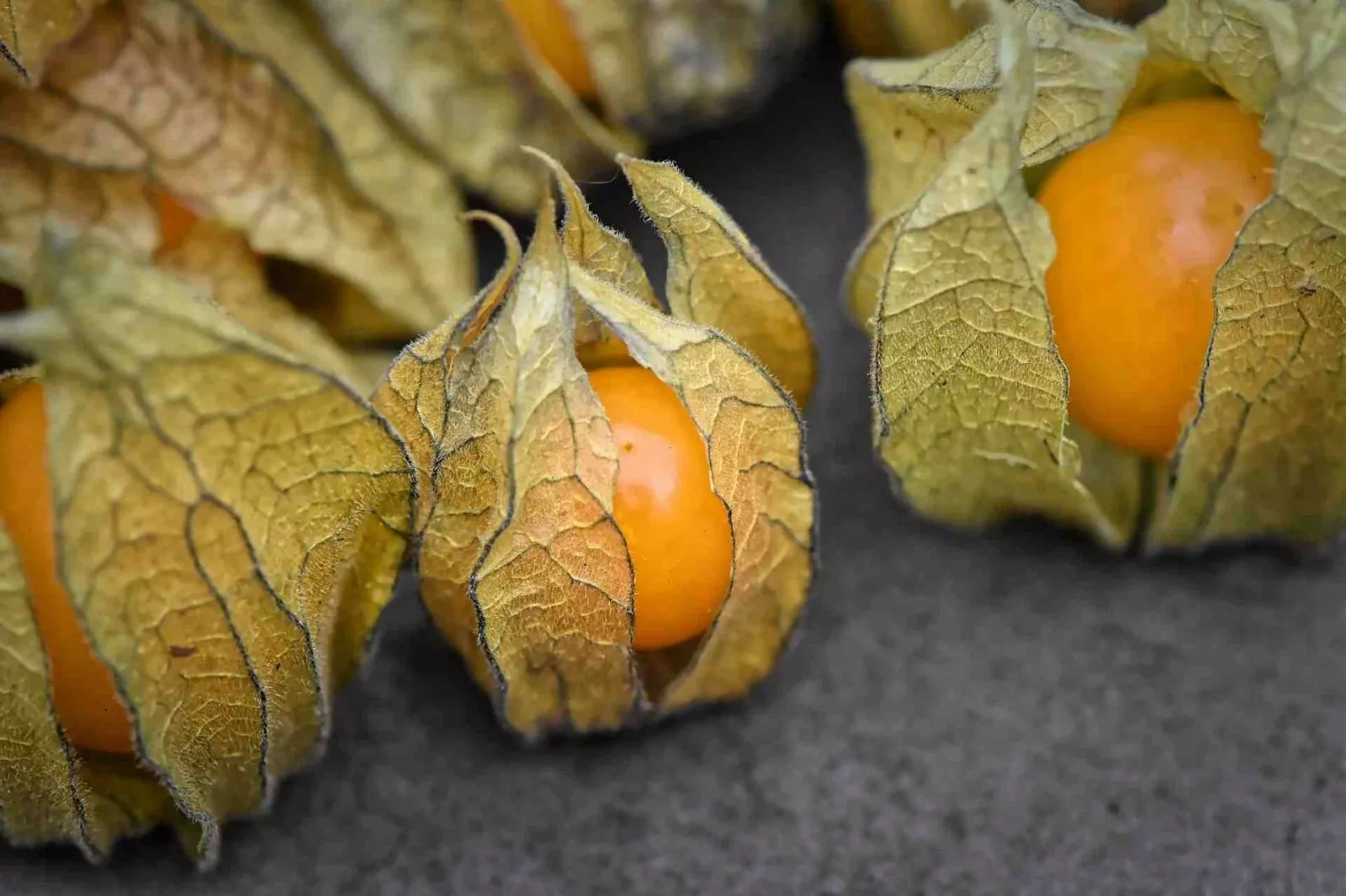 SKMO Physalis Peruviana Golden Ground Cherry Vegetable 50 Seeds Indoor G... - £7.02 GBP