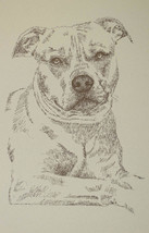 American Pit Bull Terrier Word Dog Drawing #29 Kline Adds Dogs Name Free. Gift - £39.18 GBP