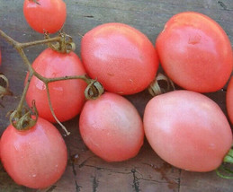 SL 50 Seeds Thai Pink Egg Tomato Tomatoe Vegetable Garden Edible Canning - £2.57 GBP