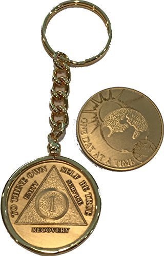 Primary image for 1 Year AA Medallion & One Day At A Time Universe Chip In Removable Gold Plate...