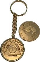 1 Year AA Medallion &amp; One Day At A Time Universe Chip In Removable Gold ... - £11.03 GBP