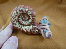 y-NAUT-3) Nautilus catching a shark hand painted clay carving by JP Fisc... - $46.98