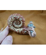 y-NAUT-3) Nautilus catching a shark hand painted clay carving by JP Fisc... - €40,04 EUR