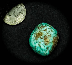 20.0 cwt. Rare Vintage Royston Turquoise Cabochon - $179.00