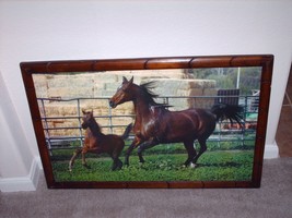 Framed Foal and Mare Horse Art Print Hand Crafted Frame Equestrian - £15.67 GBP