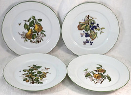 4 Tirschenreuth Bavaria Porcelain Plates each with Different Fruit / Ber... - £36.05 GBP