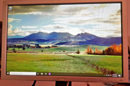 Dell E198WFPF LCD Monitor 19 Inch, Computer Monitor - $18.81