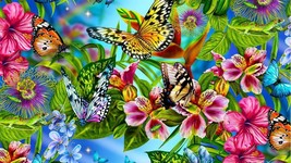 Art Giclee Oil Painting Modern Butterfly chameleon 24x16 on Canvas - $16.82