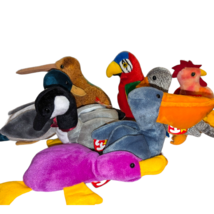 Ty Beanie Baby Lot of 8 Various Retired 4th and 5th Gen Birds Lot Beanies - £14.63 GBP