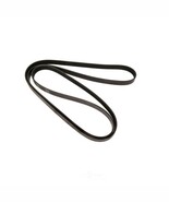 Serpentine Belt-Multi-V Continental AG 4060945 - Automotive Multi-V Belt - €51,33 EUR