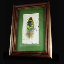 Handpainted Toucan Framed Signed Local artist Costa Rica Folk Art Natural paper  - £35.88 GBP