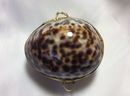 Tortoise color Cowry Sea Shell Brass Hinged Snuff Pill coin Jewely Trink... - £19.03 GBP