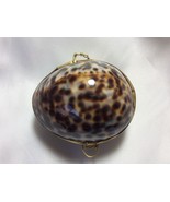 Tortoise color Cowry Sea Shell Brass Hinged Snuff Pill coin Jewely Trink... - £18.94 GBP