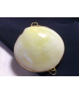 White Clam Sea shell Brass Hinged Snuff Pill coin Jewely Trinket Box nat... - £16.47 GBP