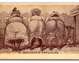 Comic Big Butts Southern Exposure A Fine View 1910 DB Postcard R23 - $7.08