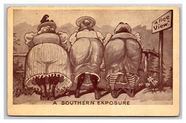 Comic Big Butts Southern Exposure A Fine View 1910 DB Postcard R23 - £5.56 GBP