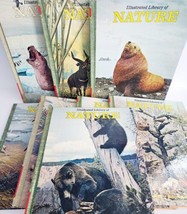 1971 Illustrated Library of Nature Lot of 8 Vintage Animal Volumes HC Stuttman  - £40.59 GBP