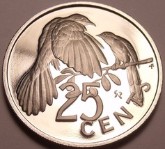 Rare Proof British Virgin Islands 1980 25 Cents~3,421 Minted~Mangrove Cuckoo~F/S - £7.23 GBP