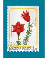  Used Hungary Postage Stamp (1965) Flora - $1.99