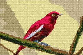 Pepita Needlepoint kit: Red Pompadour Cotinga Bird, 10&quot; x 7&quot; - £39.91 GBP+