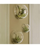 Set of 3 Wall Glass Vase Bubble Terrariums Wall Hanging Planter for Hous... - $25.98