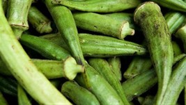 Louisiana Green Velvet Okra Seeds 30 Garden USA Shipping - $8.58