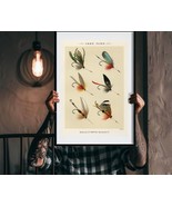 Hand-tied Lake Fish Fly Fishing Lures Vintage Art Print 16 x 20 in - £20.35 GBP