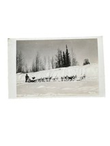 Alaskan Dog Sled Team L Seppatas RPPC 1950 Postcard - £3.74 GBP