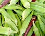100 Seeds Clemson Spineless Okra Seeds Organic Heirloom Summer Vegetable... - $8.99
