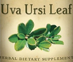 UVA URSI LEAF aka Bearberry - Urinary Tract Support Herbal Tincture USA - $24.97+
